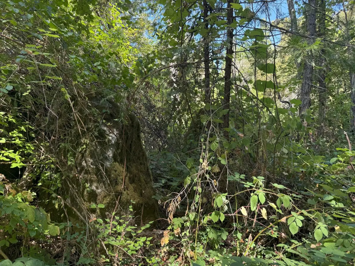 14742 Boquest Drive, Nevada City, CA 95959 - Image #1