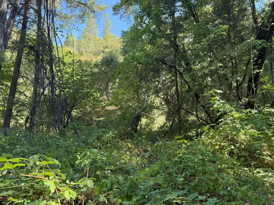 14742 Boquest Drive, Nevada City, CA 95959 - Image #2