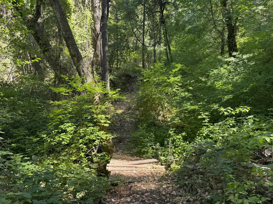 14742 Boquest Drive, Nevada City, CA 95959 - Image #3