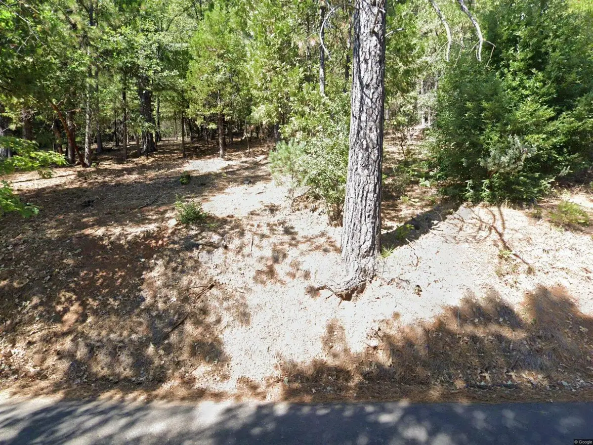 16704 New York House Road, Brownsville, CA 95919 - Image #1