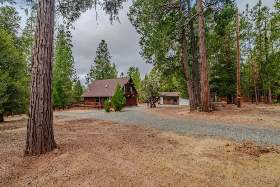 19740 Ponderosa Drive, Volcano, CA 95689 - #2