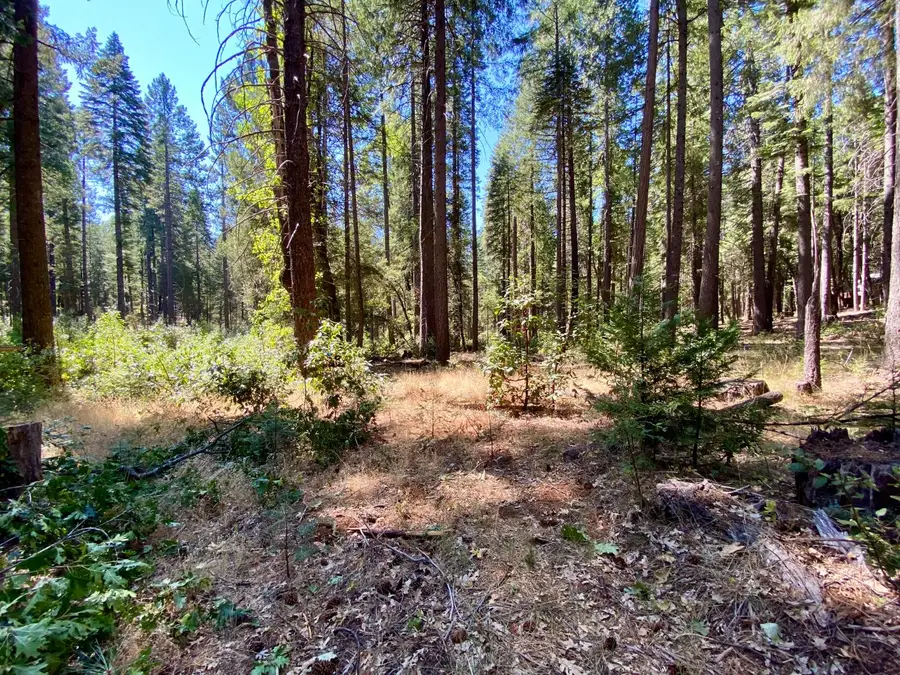 14915 Lolas Echo Road, Nevada City, CA 95959 - Image #2