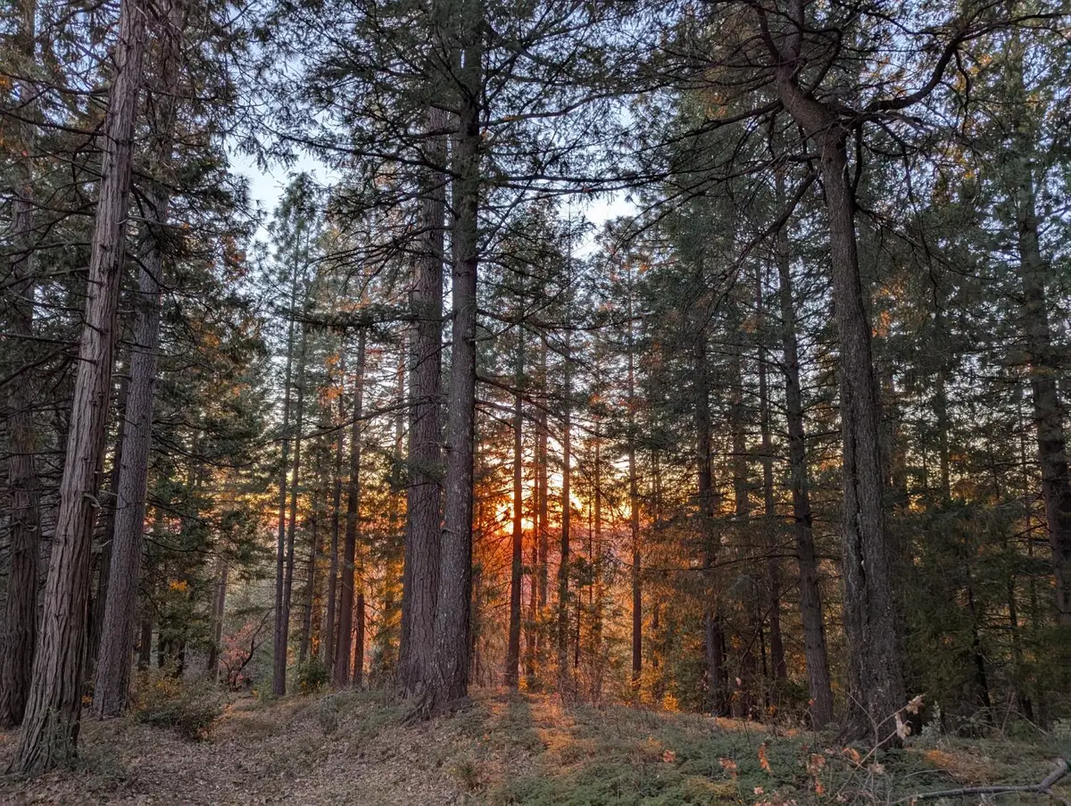 3000 Moody Ridge Road, Gold Run, CA 95717 - Image #1