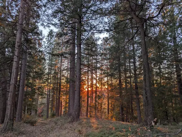 3000 Moody Ridge Road, Gold Run, CA 95717