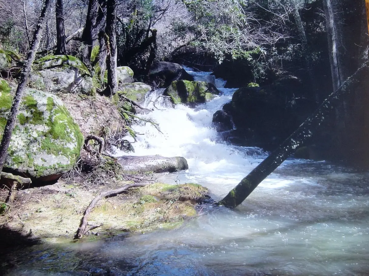 7152 Fire Pine Lane, Somerset, CA 95684 - Image #1