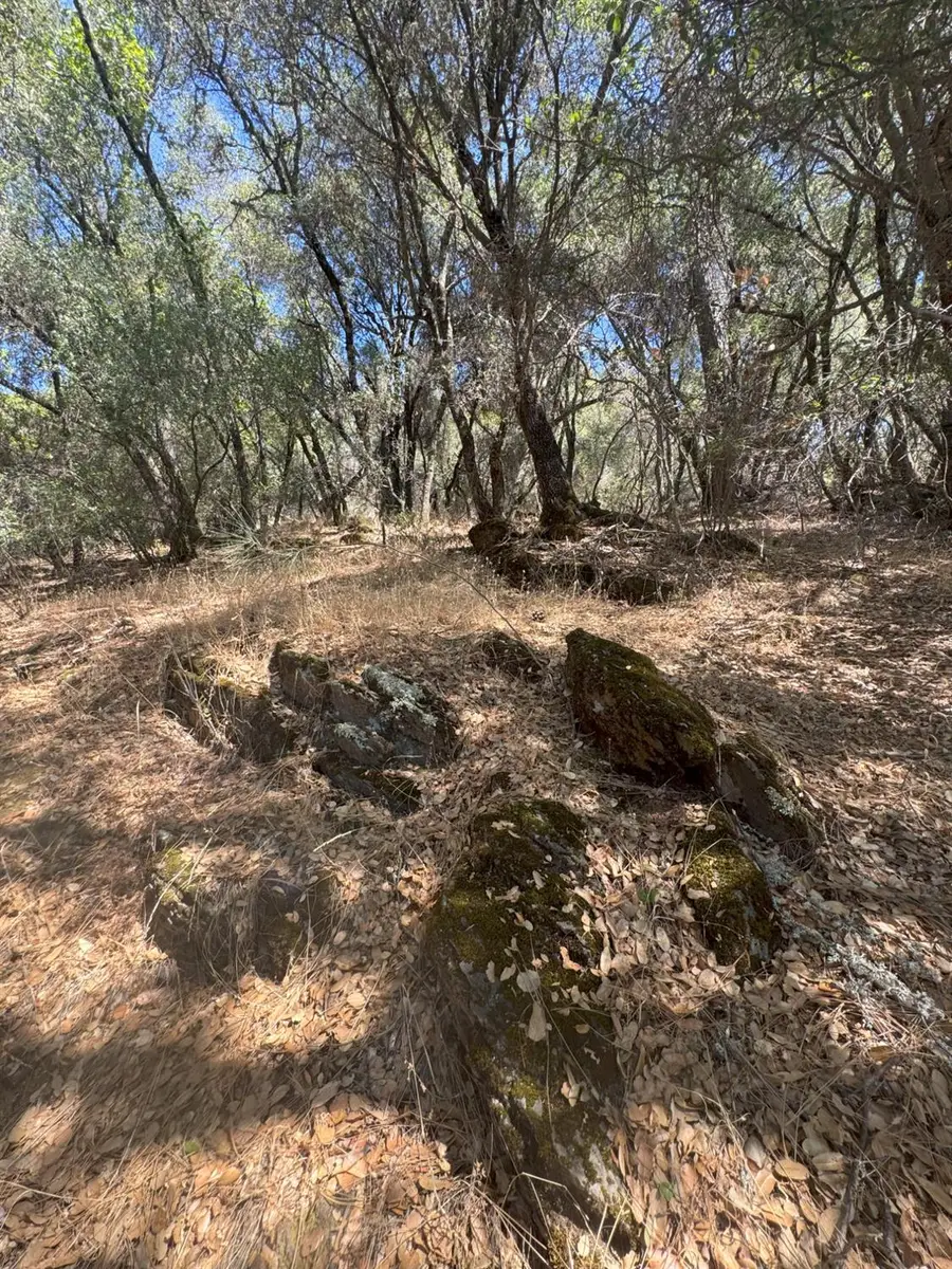 22529 Dog Bar, Grass Valley, CA 95949 - Image #3