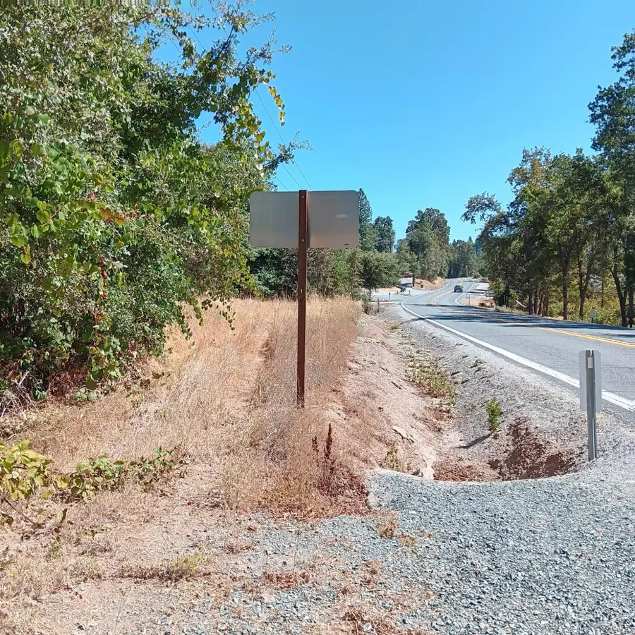 24929 State Highway 88, Pioneer, CA 95666 - Image #2