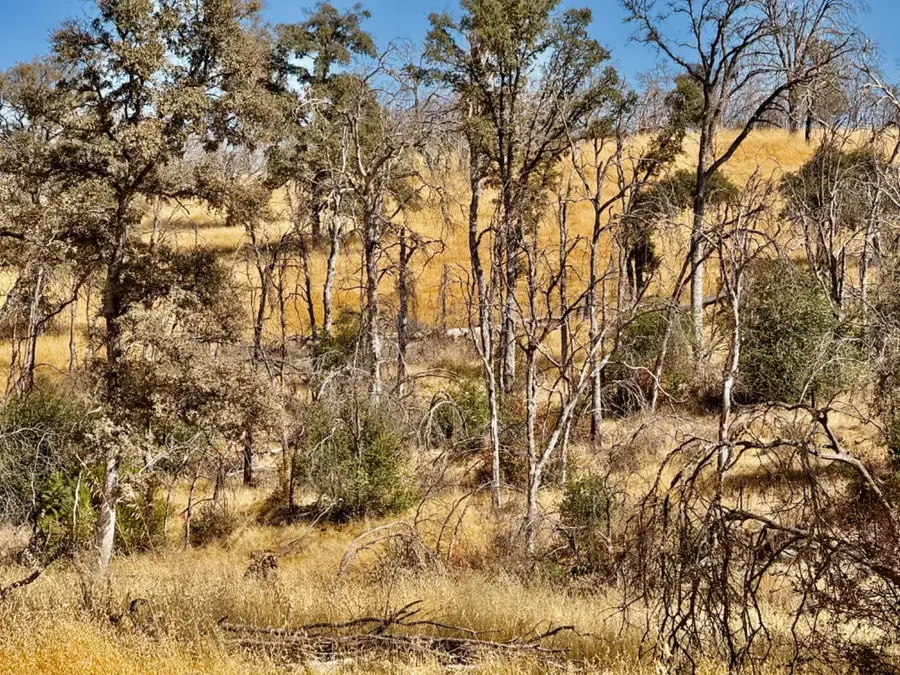 13031 Lone Tree Way, Loma Rica, CA 95901 - Image #2