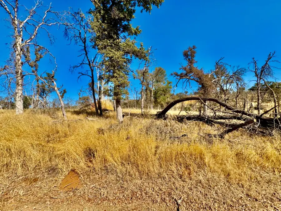 13031 Lone Tree Way, Loma Rica, CA 95901 - Image #3