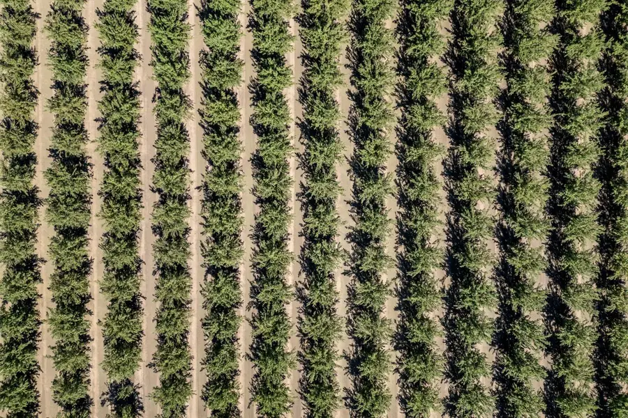 580 Oswald Road, Yuba City, CA 95991 - Image #2