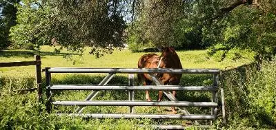 0 Illinois Avenue, Fair Oaks, CA 95628 - Image #3