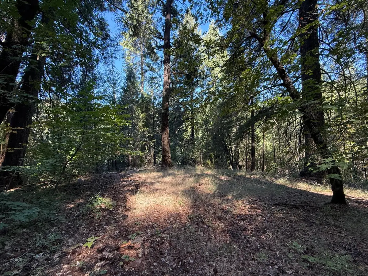 0 Blue Canyon Road, Emigrant Gap, CA 95715 - Image #1