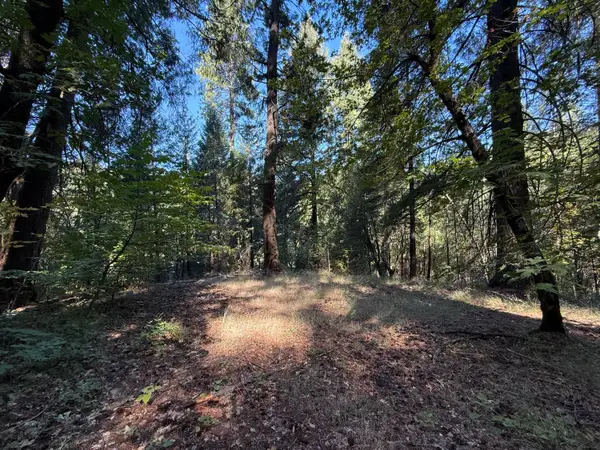 0 Blue Canyon Road, Emigrant Gap, CA 95715