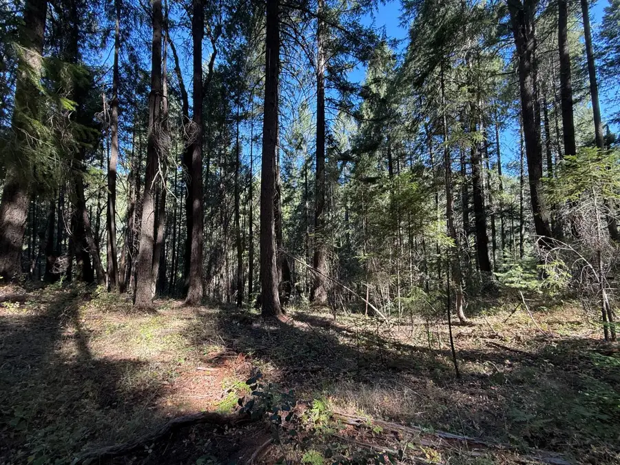 0 Blue Canyon Road, Emigrant Gap, CA 95715 - Image #3