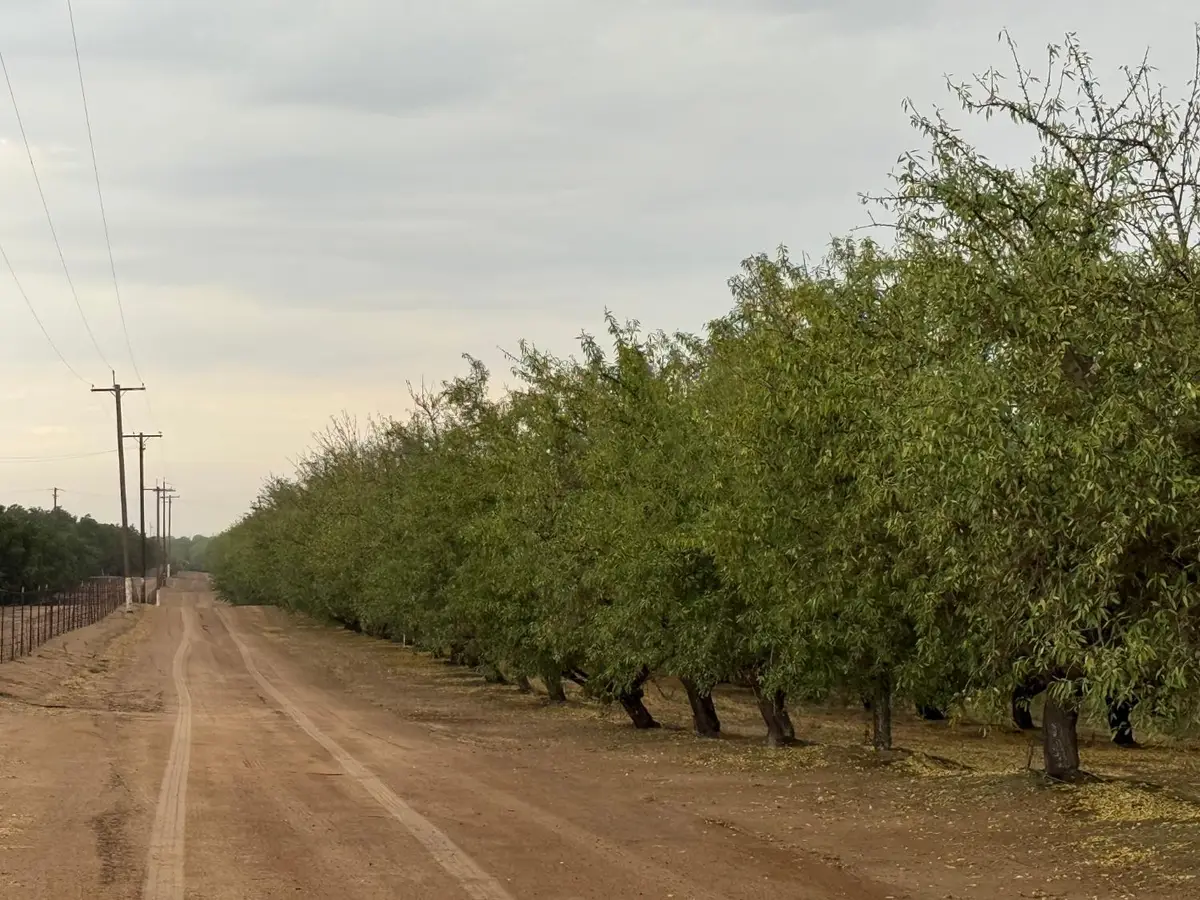 0 E Keyes Road, Denair, CA 95316 - Image #1