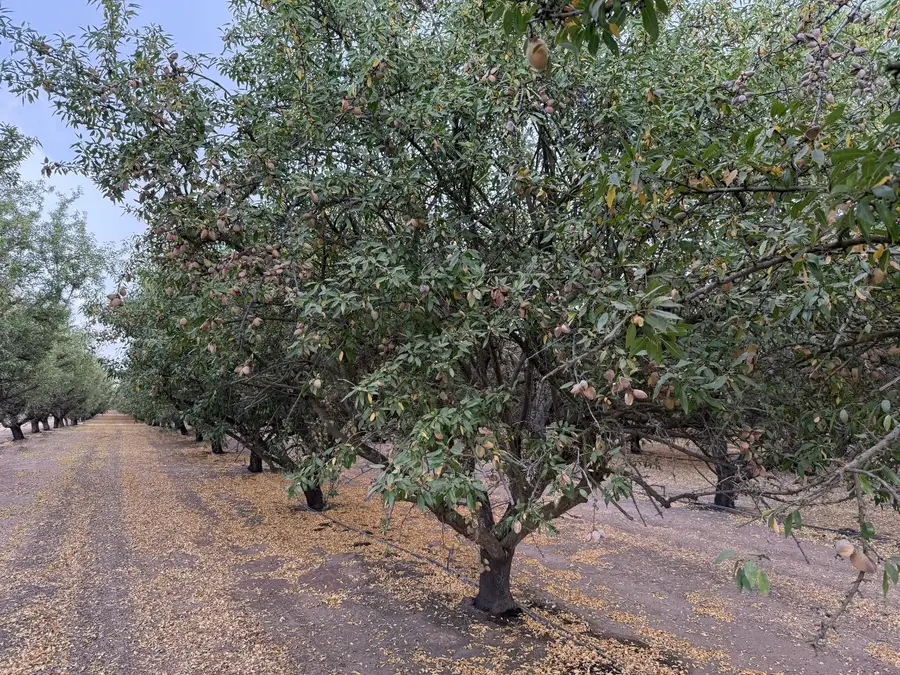 0 E Keyes Road, Denair, CA 95316 - Image #2