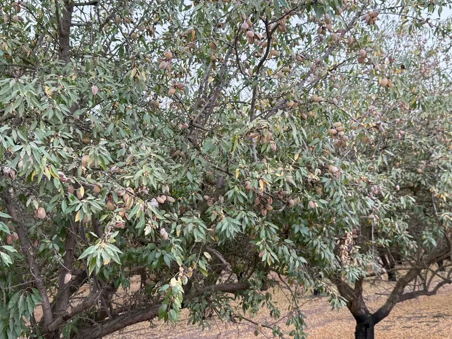 0 E Keyes Road, Denair, CA 95316 - Image #3