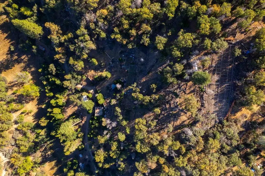 44989 Mcclenny Drive, Posey, CA 93260 - Image #2