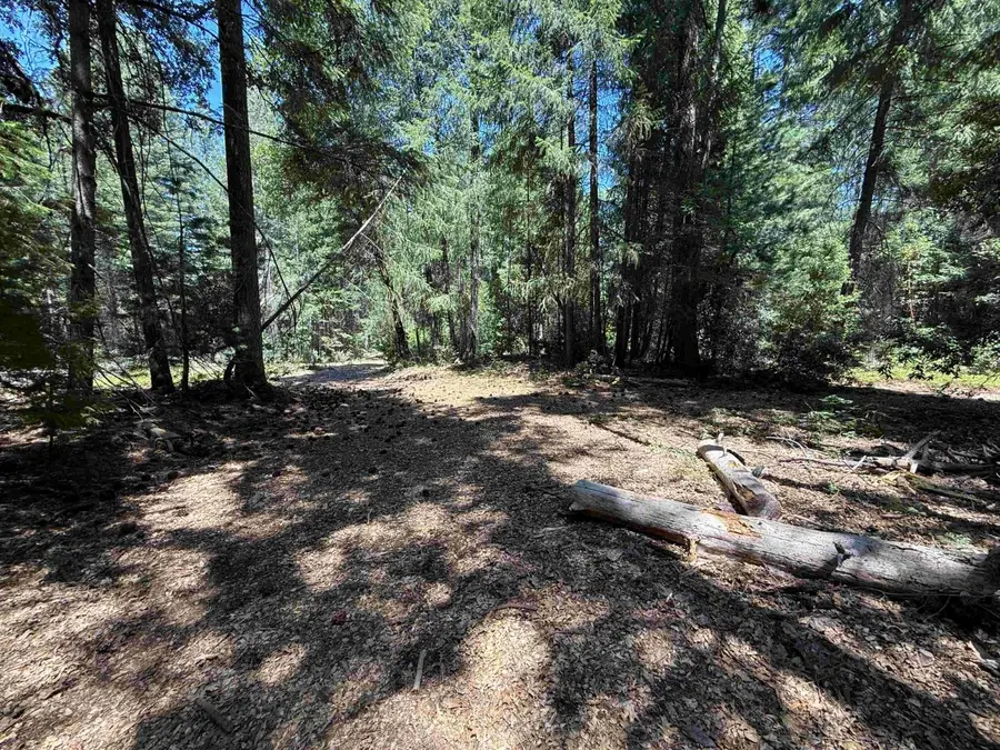 22729 Tyler Foote Crossing Road, Nevada City, CA 95959 - Image #3