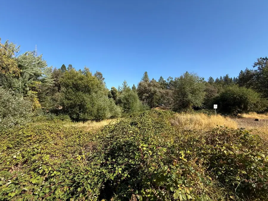 17898 Alexandra Way, Grass Valley, CA 95949 - Image #3