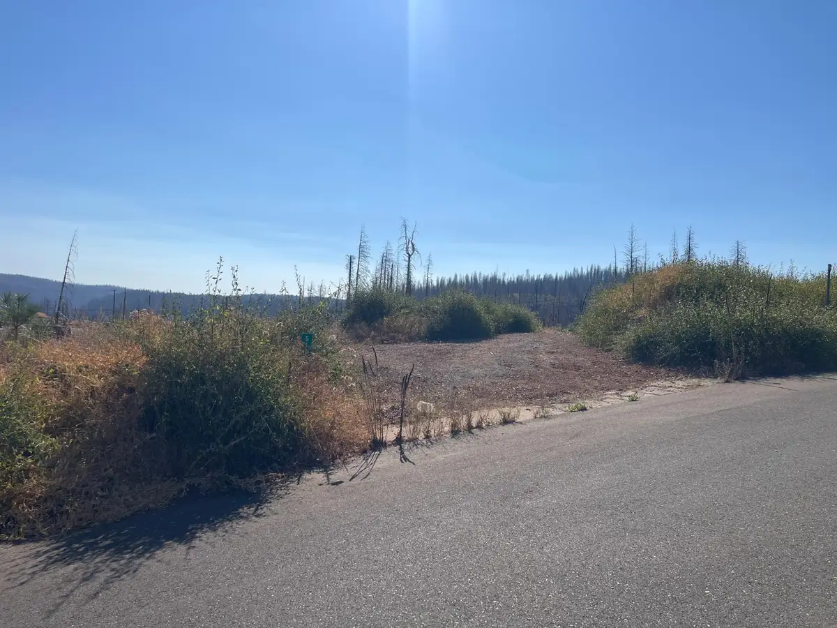 5190 Evergreen Drive, Grizzly Flats, CA 95636 - Image #1