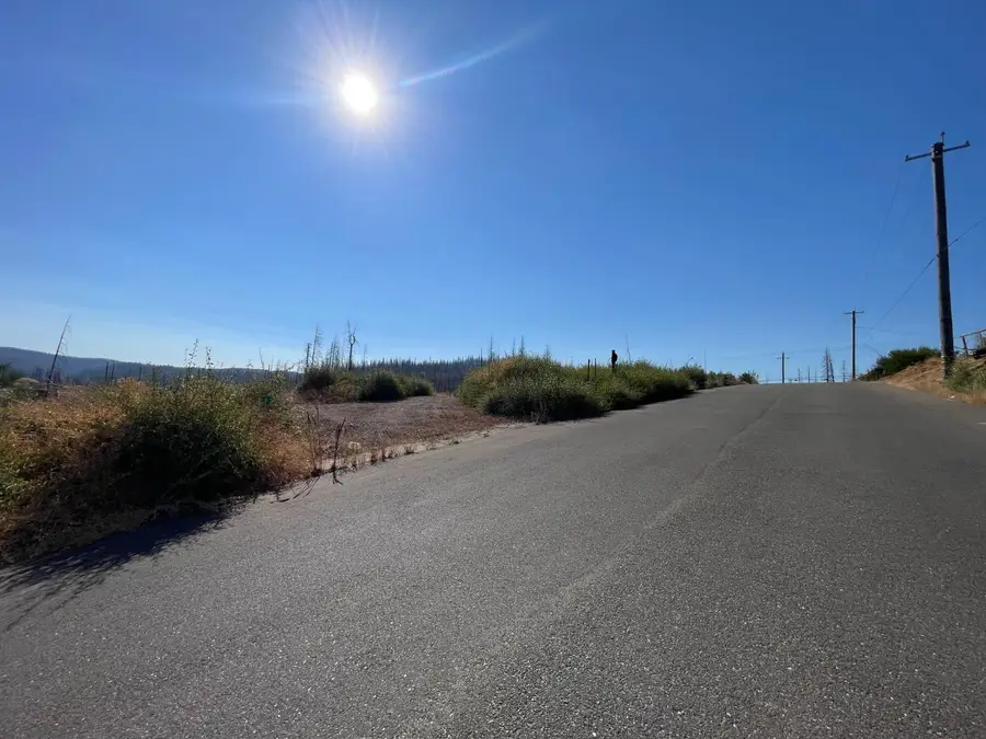 5190 Evergreen Drive, Grizzly Flats, CA 95636 - Image #2