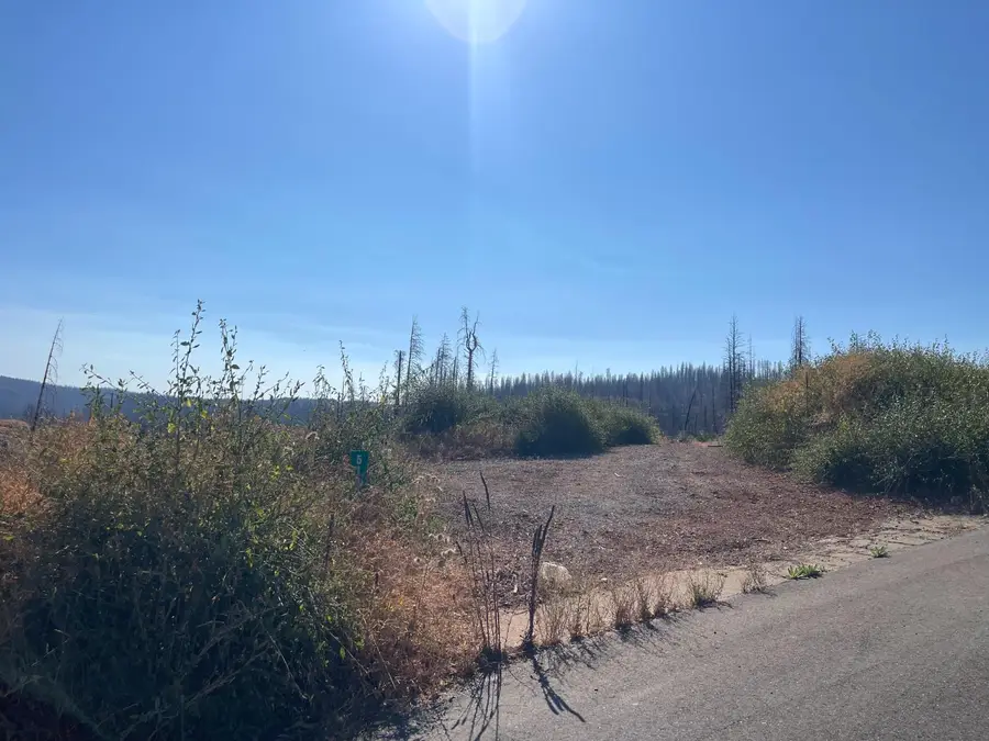 5190 Evergreen Drive, Grizzly Flats, CA 95636 - Image #3