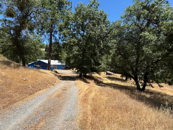 3553 Bald Mountain Road, West Point, CA 95255