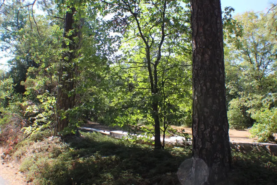 901 Bald Mountain Road, West Point, CA 95255 - Image #2