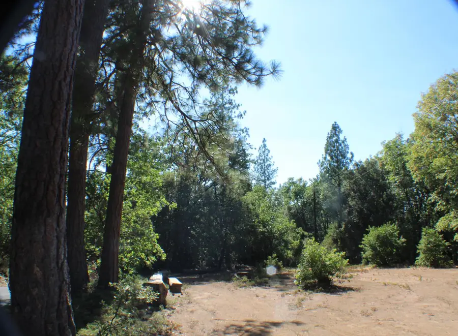 901 Bald Mountain Road, West Point, CA 95255 - Image #3