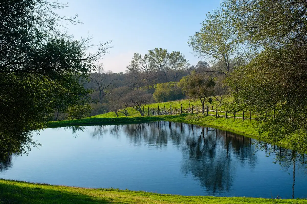 6550 Jackson Valley Road, Ione, CA 95640 - Image #1