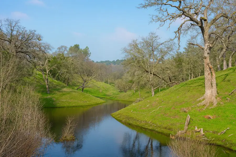 6550 Jackson Valley Road, Ione, CA 95640 - Image #3