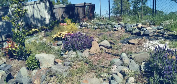 7203 Amador Court, Corning, CA 96021