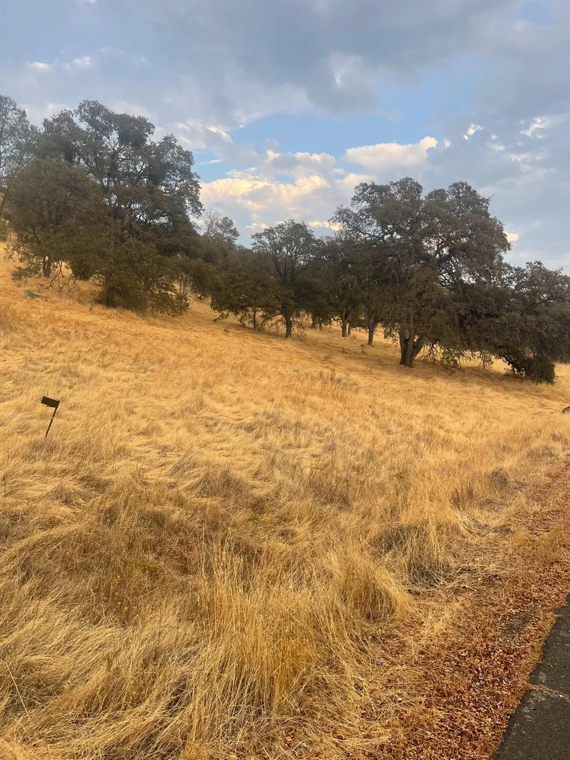 0 Castillo Way, La Grange, CA 95329 - Image #1