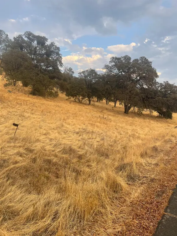 0 Castillo Way, La Grange, CA 95329