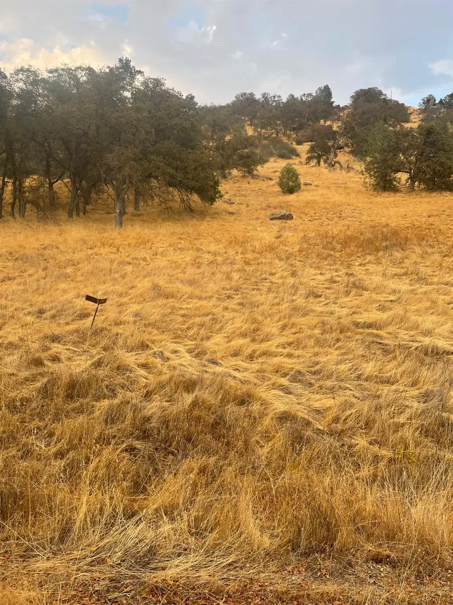 0 Castillo Way, La Grange, CA 95329 - Image #2