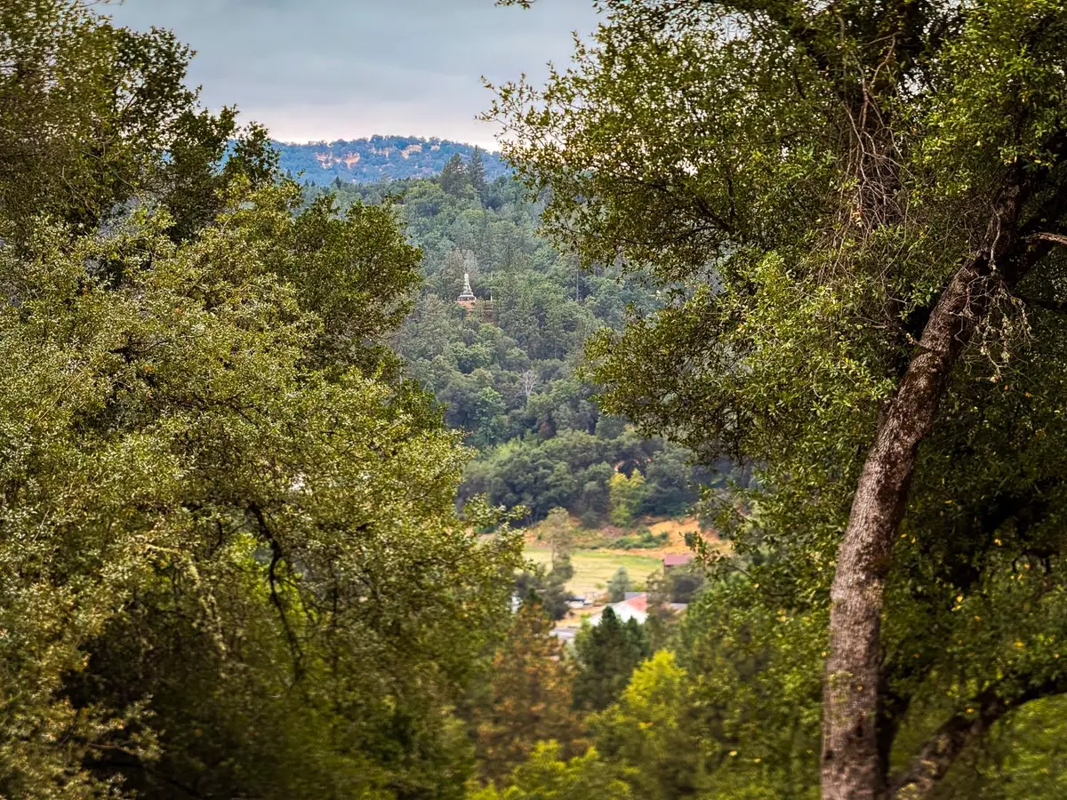 6791 Carvers Road, Garden Valley, CA 95633 - #1