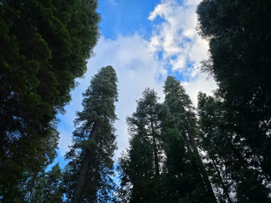 0 Blair Road, Pollock Pines, CA 95726 - Image #2