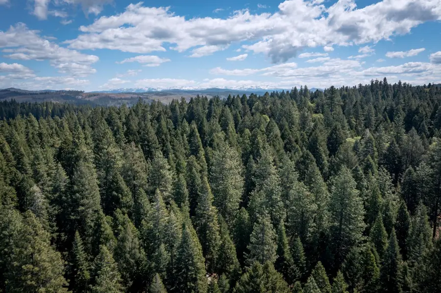 0 Blair Road, Pollock Pines, CA 95726 - Image #3