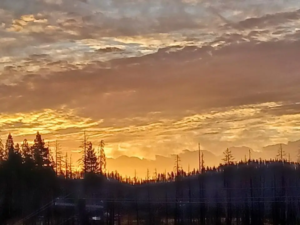 6855 E Tyler Drive, Grizzly Flats, CA 95636 - Image #1