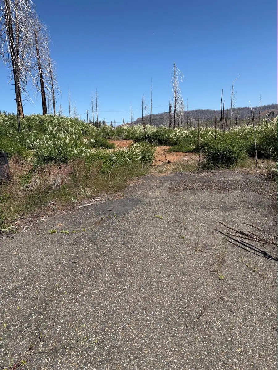 6855 E Tyler Drive, Grizzly Flats, CA 95636 - Image #2