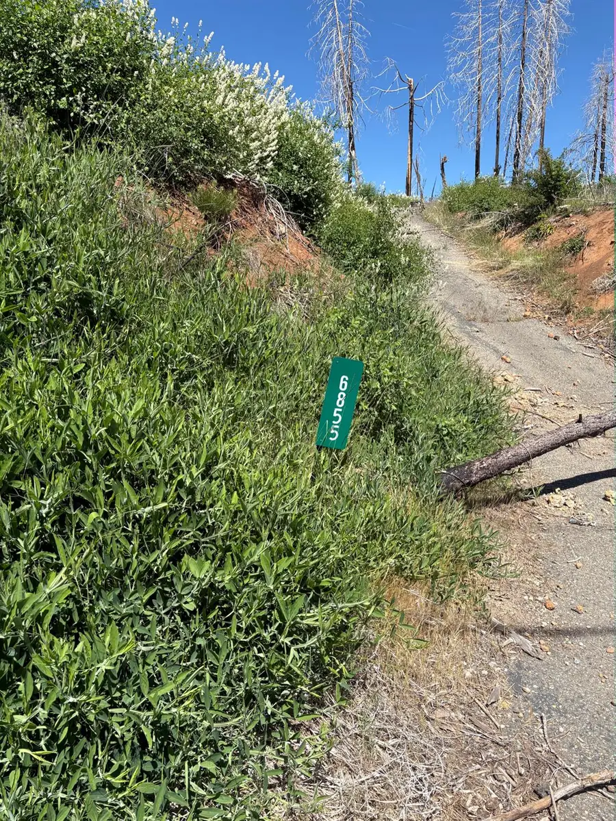 6855 E Tyler Drive, Grizzly Flats, CA 95636 - Image #3