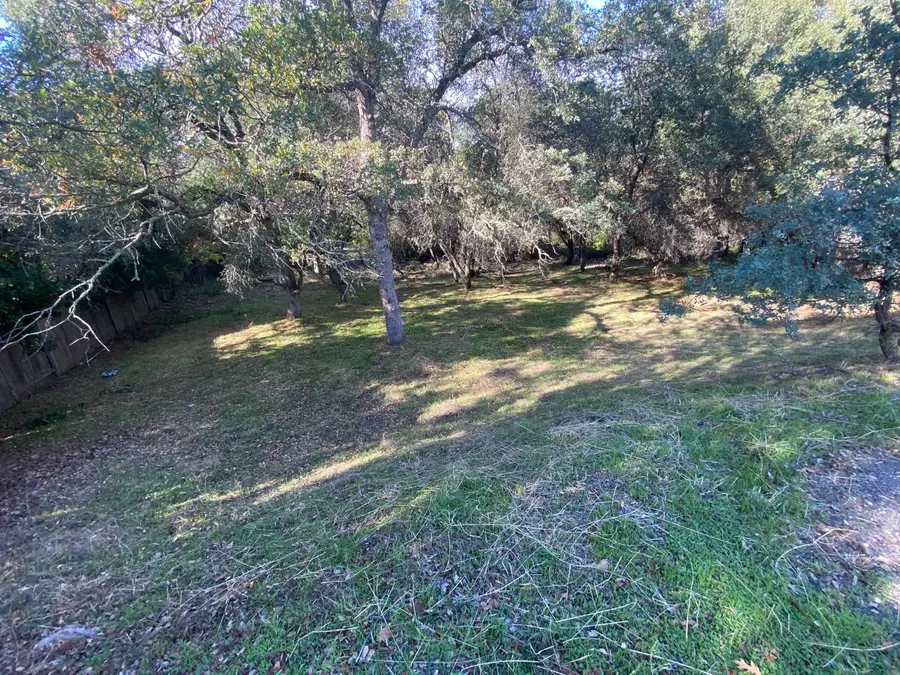 119 Flat Rock Drive, Folsom, CA 95630 - Image #3