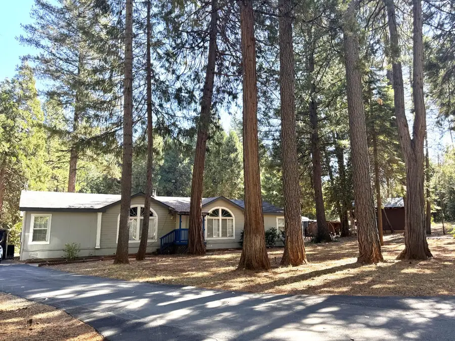 138 Big Fir Road, Forbestown, CA 95941 - Image #3