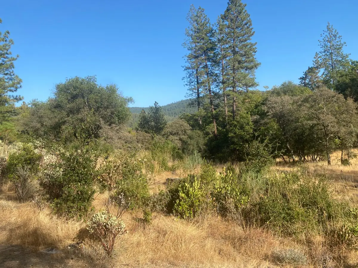 13911 Ingersoll Drive, Dobbins, CA 95935 - Image #1