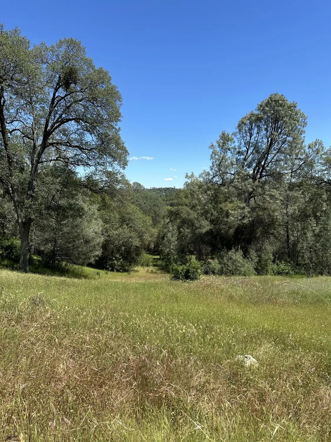 12787 Country Heights Drive, Penn Valley, CA 95946 - Image #1