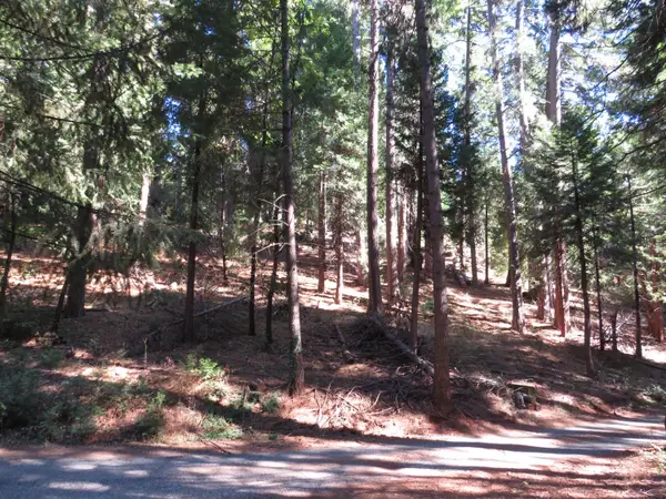 172 Sylvan Road, Colfax, CA 95713