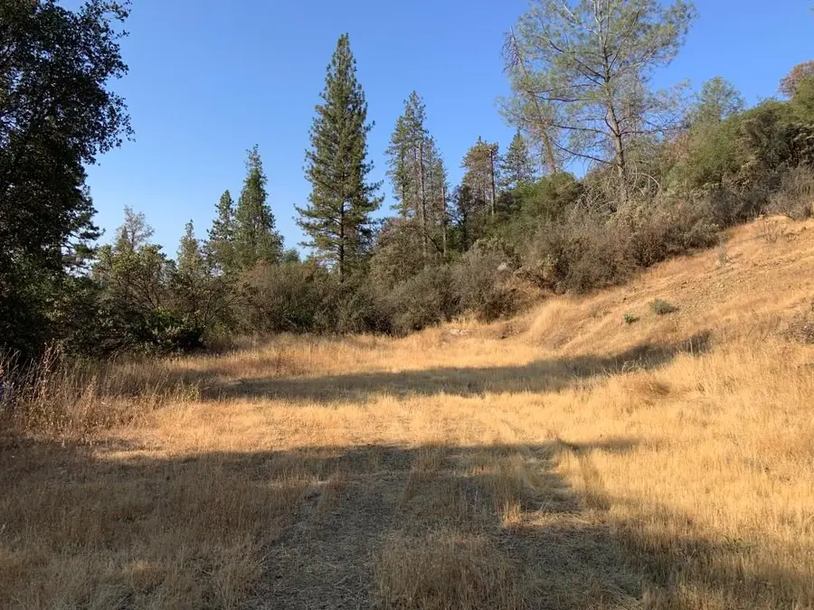 17340 Scopar Road, Grass Valley, CA 95949 - Image #3