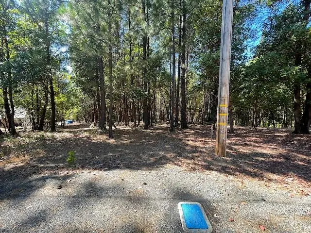 3191 Pine Cone Court, Placerville, CA 95667 - Image #2