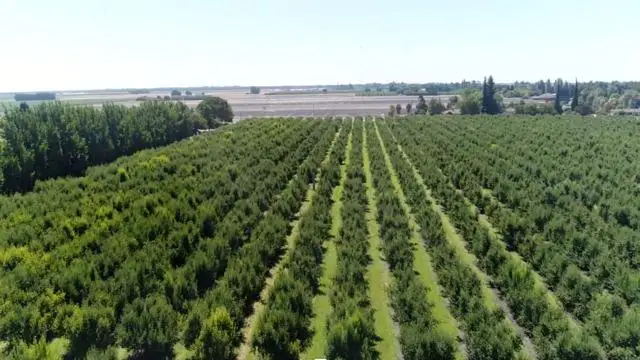 0 River Road, Courtland, CA 95615 - #1